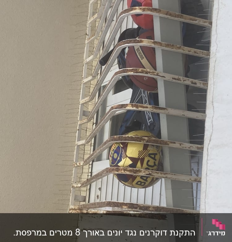 סורגים עם דוקרנים למניעת כניסת יונים